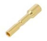 EPIC POWER LS1 D BCMF 2MM AU 0,5-2,5 (10
