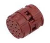 EPIC SIGNAL M23 16P (5)