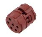 EPIC SIGNAL M23 6E (5)