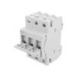 Fuse disconnector D01 Mounting: for DIN rail mounting 10A