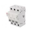 Fuse disconnector 8x31mm Mounting: for DIN rail mounting 20A