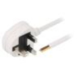 Kabel BS 1363 (G) vidlice 5m bílá PVC 3G1mm2 13A 300/500V