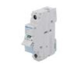 Izolační odpínač Póly: 1 DIN 40A 230VAC SBN IP20 1÷16mm2