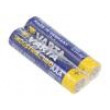 Baterie: alkalická 1,5V AAA Industrial PRO Počet čl: 2