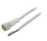 Kabel: pro snímače/automatizaci M12 PIN: 4 přímý 20m zástrčka