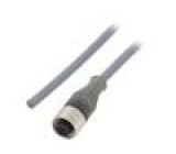 Připojovací kabel M12 PIN: 3 přímý 10m zástrčka 250VAC 2,7A