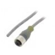 Připojovací kabel M12 PIN: 3 přímý 5m zástrčka 250VAC 3,1A