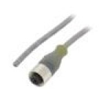 Připojovací kabel M12 PIN: 3 přímý 5m zástrčka 250VAC 3,1A