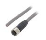 Připojovací kabel M12 PIN: 8 přímý 5m zástrčka 36VAC 2,2A