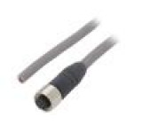 Kabel: pro snímače/automatizaci M12 PIN: 8 přímý 5m zástrčka