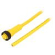 Kabel: pro snímače/automatizaci 7/8” PIN: 4 přímý 3m zástrčka