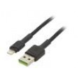 Kabel USB 2.0 vidlice Apple Lightning,USB A vidlice 2m černá