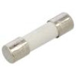 Pojistka: tavná zpožděná 12A 250VAC keramická,kulatý 5x20mm