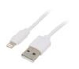 Kabel USB 2.0 vidlice Apple Lightning,USB A vidlice 2m bílá