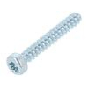 Vrut pro plasty 3x20 Hlava: válcová Torx® PLUS 10IP ocel