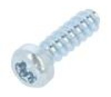Vrut pro plasty 3x10 Hlava: válcová Torx® PLUS 10IP ocel