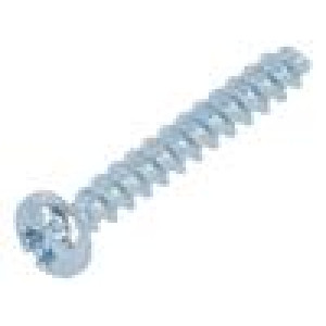 Vrut pro plasty 4x20 Hlava: válcová plochá,Torx® 1,2mm,TX20