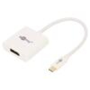 Adaptér USB 3.0 DisplayPort zásuvka,USB C vidlice 0,2m bilá