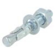 Bolt anchor 10x65 FWA 50pcs 10mm