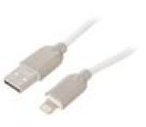 Kabel USB 2.0 vidlice Apple Lightning,USB A vidlice 1m bílá