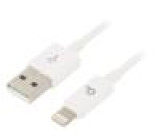 Kabel USB 2.0 vidlice Apple Lightning,USB A vidlice zlacený
