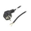 Kabel CEE 7/7 (E/F) úhlová vidlice,vodiče PVC 2m černá 10A
