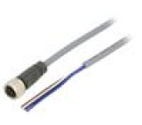 Připojovací kabel M12 PIN: 4 zástrčka Žíly: : 4 CONB1