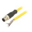 Připojovací kabel M12 PIN: 5 přímý 5m zástrčka 250VAC 4A PVC