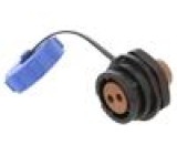 Zásuvka SY17 zásuvka PIN: 2 s ochrannou krytkou IP67 10A 500V