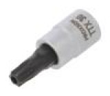 Wrench socket spanner,Torx® TX30 1/4