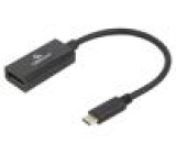 Adaptér DisplayPort 1.2,USB 3.1 černá Cablexpert