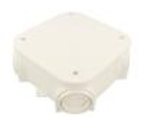 Enclosure: junction box X: 150mm Y: 150mm Z: 65mm wall mount