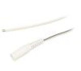 Cable wires,DC 5,5/2,1 socket straight 0.5mm2 white 3m