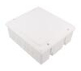 Enclosure: junction box X: 170mm Y: 190mm Z: 80mm wall mount