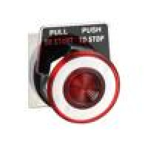 Switch: push-button 30mm Stabl.pos: 2 red/white IP66 9001K