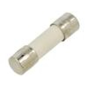 Fuse: fuse quick blow 1A 250VAC ceramic,cylindrical 5x25mm