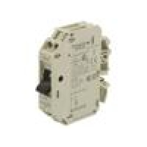 Motor breaker 250VAC DIN Electr.connect: screw terminals IP20