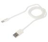 Kabel USB 2.0 USB A vidlice,USB C vidlice 1m bílá 480Mbps