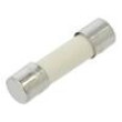 Pojistka: tavná rychlá 1A 250VAC keramická,kulatý 5x20mm S501