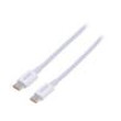 Kabel USB C vidlice,z obou stran 2m bílá 100W