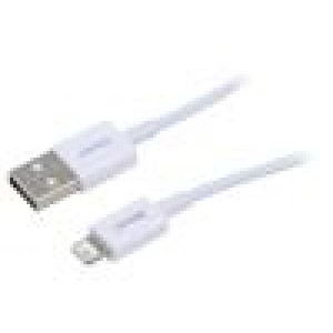 Kabel vidlice Apple Lightning,USB C vidlice 1m bílá 20W