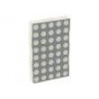 TC24-11SRWA LED display matice 5x8 červená 8-26mcd katoda 60,8x38mm