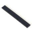 Zásuvka kolíkové zásuvka PIN: 25 přímý 2,54mm THT 1x25 125V