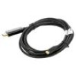 Adaptér DisplayPort 1.2,USB 3.2 zlacený 3m černá Žíla: Cu