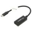 Adaptér USB 3.1 DisplayPort zásuvka,USB C vidlice niklovaný