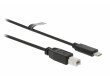 Kabel USB 2.0 USB-C Zástrčka - USB Typ B 3 m Černá