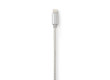 Synchronizační a nabíjecí kabel | Apple Lightning 8-pin Zástrčka - USB A Zástrčka | 1 m | Hliník