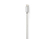 Synchronizační a nabíjecí kabel | Apple Lightning 8-pin Zástrčka - USB A Zástrčka | 2 m | Hliník