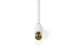 Koaxiální Kabel 100 dB | IEC (Koaxiální) Zástrčka - IEC (Koaxiální) Zástrčka | 2 m | Bílá barva