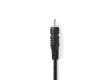 Digitální Audio kabel | RCA Zástrčka - RCA Zástrčka | 1 m | Černá barva